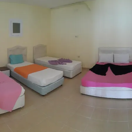 Adres Konutlari 디딤