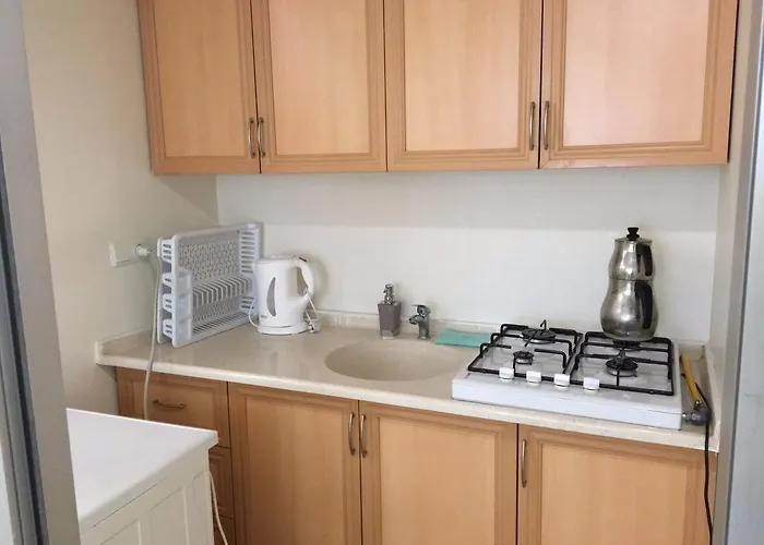 Adres Konutlari Ντιντίμ